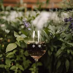 Schmidtburger Hof - Landhotel, Restaurant & Sauna 4*