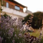 Schmidtburger Hof Hotel 4*