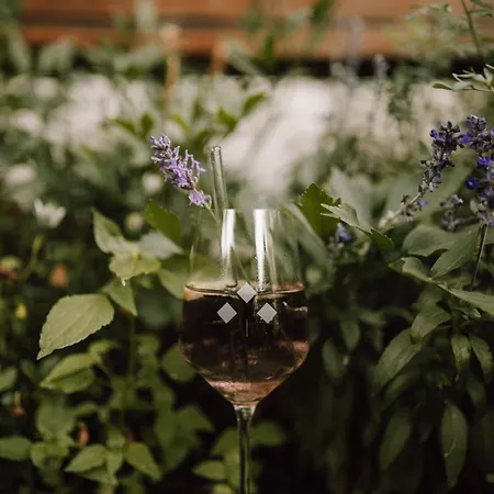 Schmidtburger Hof 4*