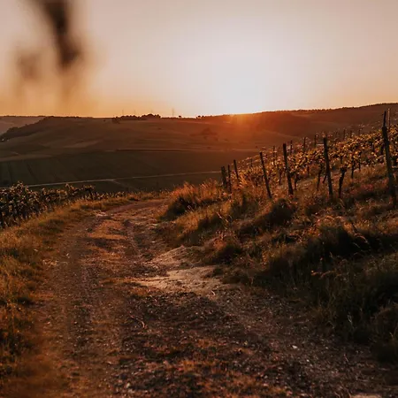 Schmidtburger Hof Hotell