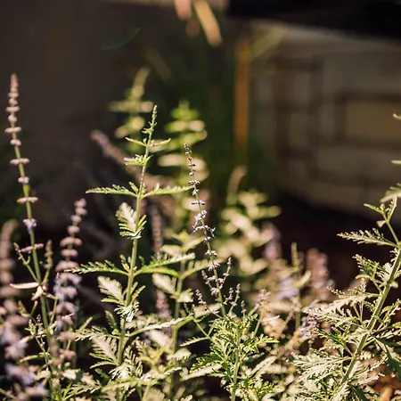 Schmidtburger Hof Szálloda 4*