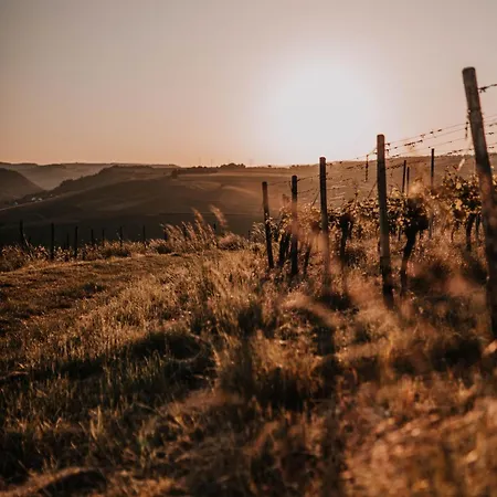 Schmidtburger Hof Szálloda