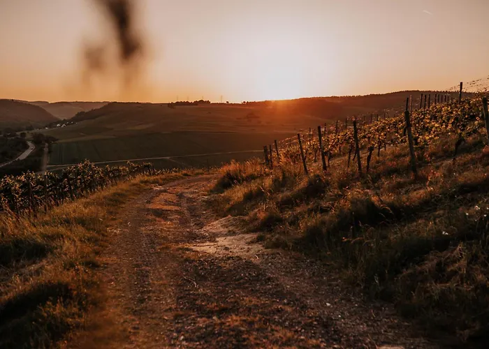 Schmidtburger Hof Hotel