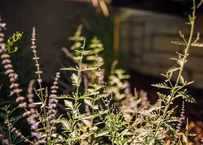 Schmidtburger Hof Hotel 4*