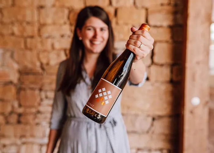 Schmidtburger Hof 4* Weiler bei Monzingen