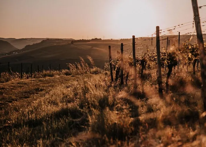 Schmidtburger Hof Hotel