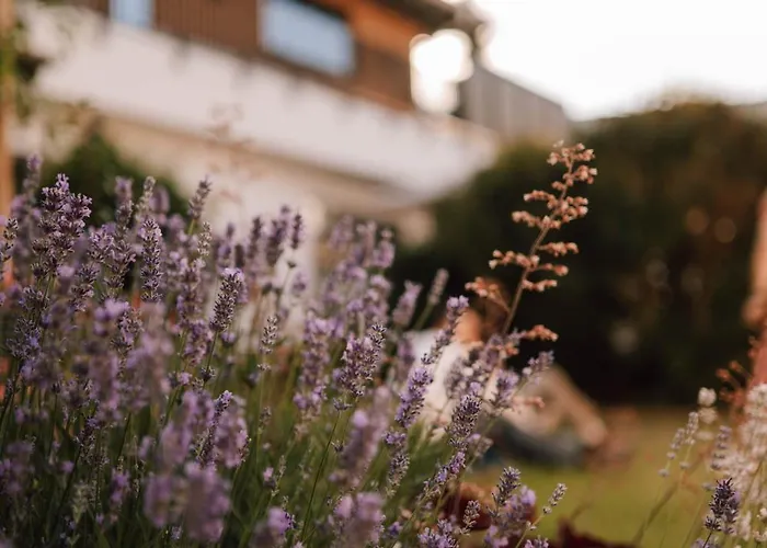 Schmidtburger Hof Hotel 4*